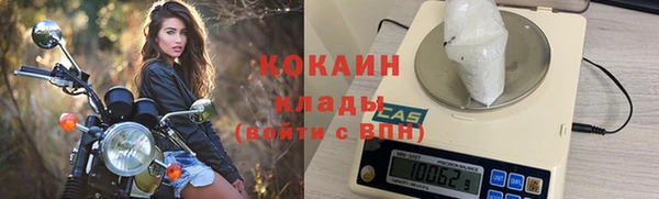 apvp Горняк