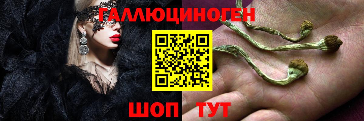Галлюциногенные грибы GOLDEN TEACHER  Вход с VPN  Галлюциногенные грибы GOLDEN TEACHER  Фурманов 